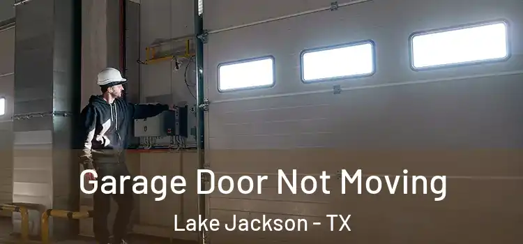  Garage Door Not Moving Lake Jackson - TX