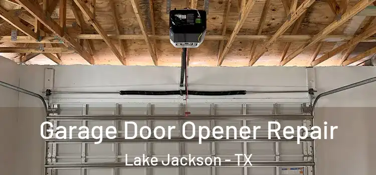  Garage Door Opener Repair Lake Jackson - TX