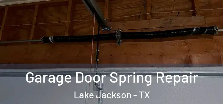  Garage Door Spring Repair Lake Jackson - TX