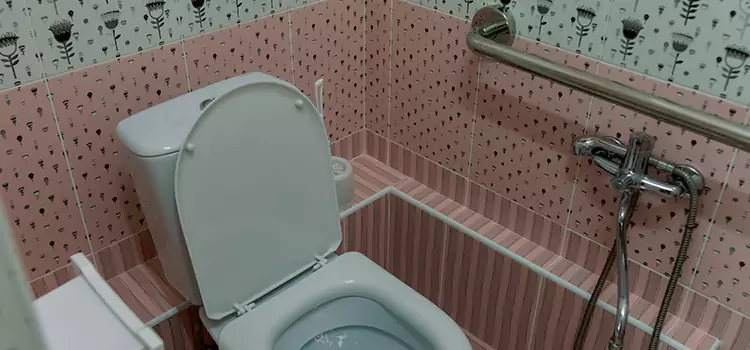 Meeting Diverse Needs With Accessible Restroom Solutions in Lake Jackson, TX